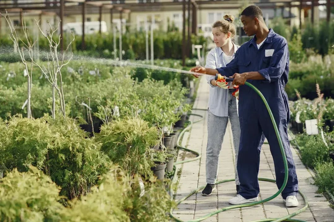 Jardin & Harmonie 11
