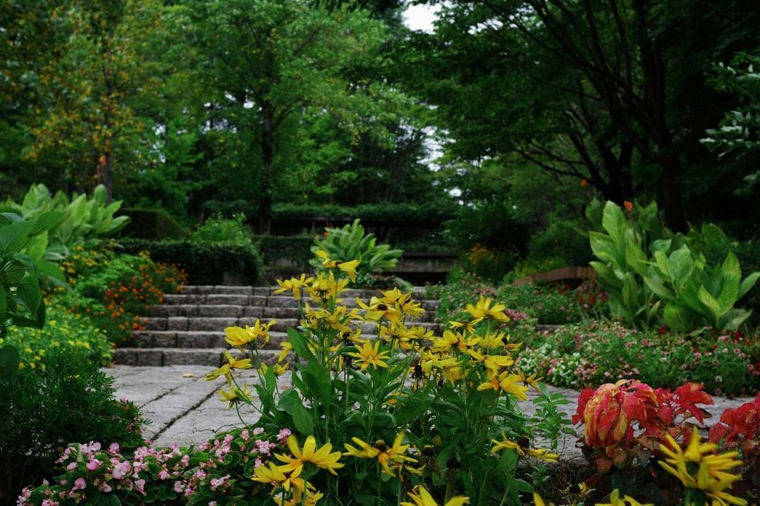 Création et aménagement de jardins